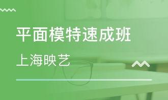 上海映艺娱乐经理,打造璀璨星光，引领娱乐新潮流